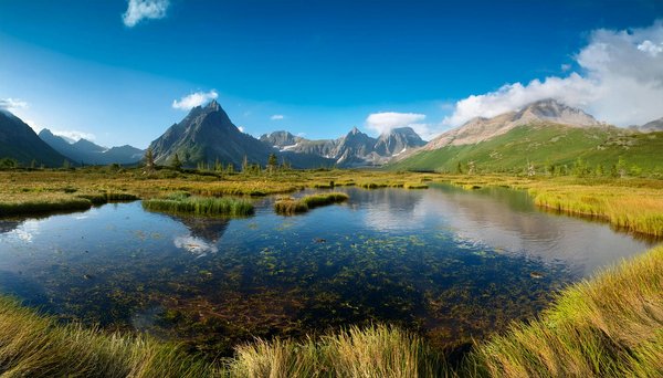 Location d'utilitaire au Mans : les meilleures options à découvrir